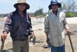 Trung Quốc lại mua địa sâm Việt Nam